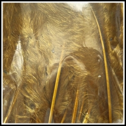 Marabou (Loose) Olive